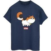 T-shirt Disney Big Hero 6