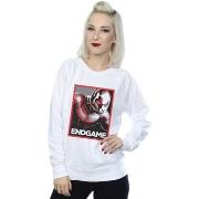 Sweat-shirt Marvel Avengers Endgame Ant-Man Poster