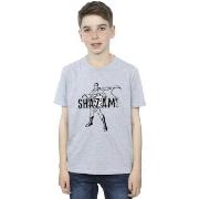 T-shirt enfant Dc Comics BI33649