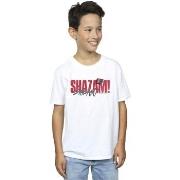 T-shirt enfant Dc Comics Shazam Fury Of The Gods Pride Distress