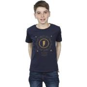 T-shirt enfant Dc Comics Shazam Fury Of The Gods Golden Spiral Chest