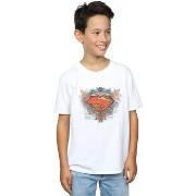 T-shirt enfant Dc Comics BI33826