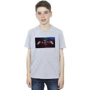 T-shirt enfant Dc Comics BI39194