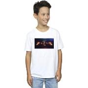 T-shirt enfant Dc Comics BI39194