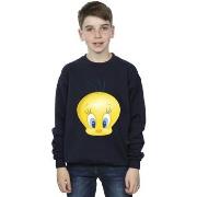 Sweat-shirt enfant Dessins Animés BI23852