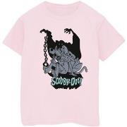 T-shirt enfant Scooby Doo Scared Jump