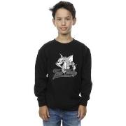 Sweat-shirt enfant Dessins Animés BI37995