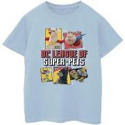 T-shirt enfant Dc Comics DC League Of Super-Pets