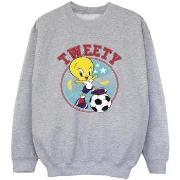 Sweat-shirt enfant Dessins Animés BI24084