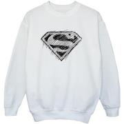 Sweat-shirt enfant Dc Comics BI33025