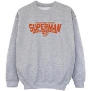 Sweat-shirt enfant Dc Comics BI33181