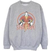 Sweat-shirt enfant Dc Comics BI33953