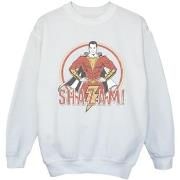 Sweat-shirt enfant Dc Comics BI33953