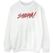 Sweat-shirt Dc Comics Shazam Fury Of The Gods Spray Paint Logo