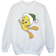 Sweat-shirt enfant Dessins Animés BI24329