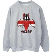 Sweat-shirt Dessins Animés BI24659