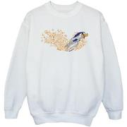 Sweat-shirt enfant Dessins Animés ACME