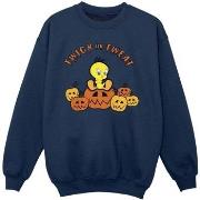 Sweat-shirt enfant Dessins Animés BI24843