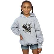 Sweat-shirt enfant Dc Comics BI3574