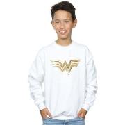 Sweat-shirt enfant Dc Comics 84