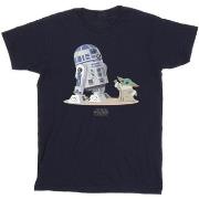 T-shirt enfant Disney BI37506