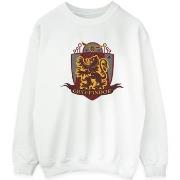 Sweat-shirt Harry Potter BI28761
