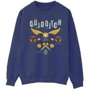 Sweat-shirt Harry Potter Quidditch Bludgers Quaffles