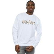 Sweat-shirt Harry Potter Full Colour Logo