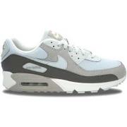 Baskets basses Nike Air Max 90 Photon Dust Light Iron Ore