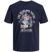 T-shirt Jack &amp; Jones 161463VTPE24