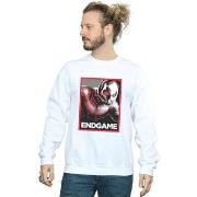 Sweat-shirt Marvel Avengers Endgame Ant-Man Poster