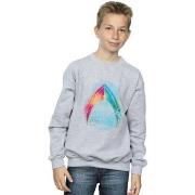 Sweat-shirt enfant Dc Comics BI6191