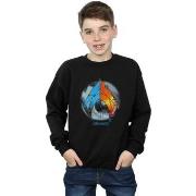 Sweat-shirt enfant Dc Comics BI6356