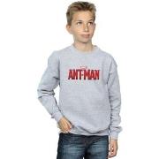 Sweat-shirt enfant Marvel BI5807