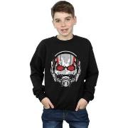 Sweat-shirt enfant Marvel Ant-Man Helmet Distressed