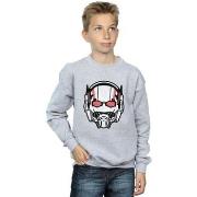 Sweat-shirt enfant Marvel BI5857