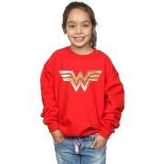 Sweat-shirt enfant Dc Comics 84