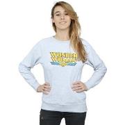 Sweat-shirt Dc Comics BI4132