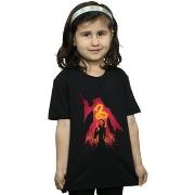 T-shirt enfant Harry Potter BI21099