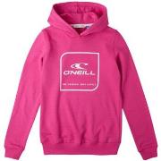 Sweat-shirt enfant O'neill N06472-13012