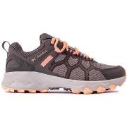 Chaussures Columbia Sportswear Peakfreak 11 Formateurs