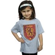 T-shirt enfant Harry Potter Gryffindor Crest Flat