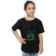 T-shirt enfant Harry Potter BI21120