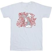 T-shirt enfant Dessins Animés ACME