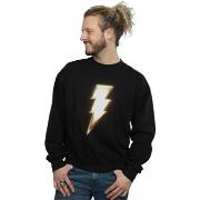 Sweat-shirt Dc Comics BI44481