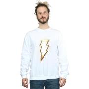 Sweat-shirt Dc Comics BI44481