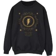 Sweat-shirt Dc Comics Shazam Fury Of The Gods Golden Spiral Chest