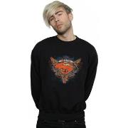 Sweat-shirt Dc Comics BI44621