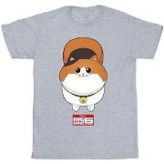 T-shirt enfant Disney Big Hero 6