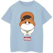 T-shirt enfant Disney Big Hero 6 Baymax Kitten Face